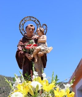 Fiestas San Antonio de Padua