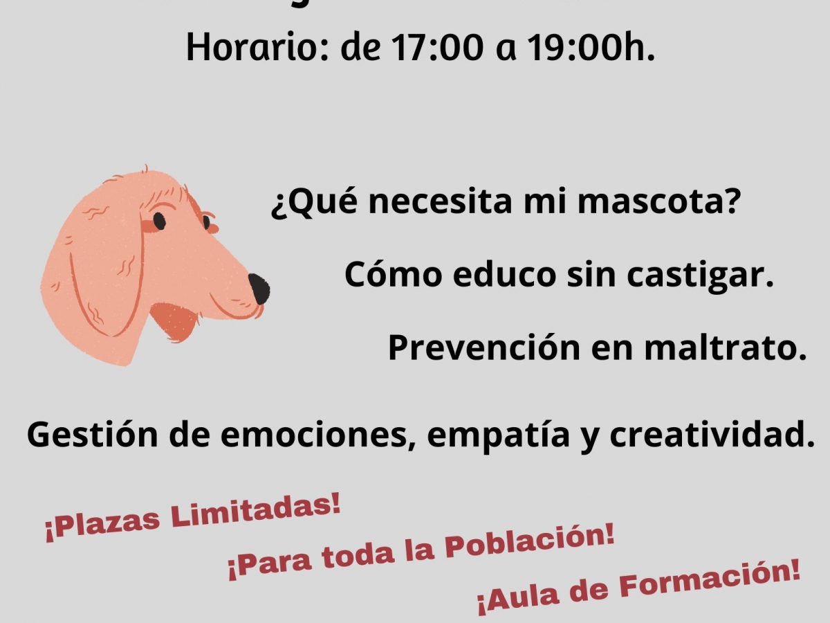 TALLER: CHOCAME UNA PATA