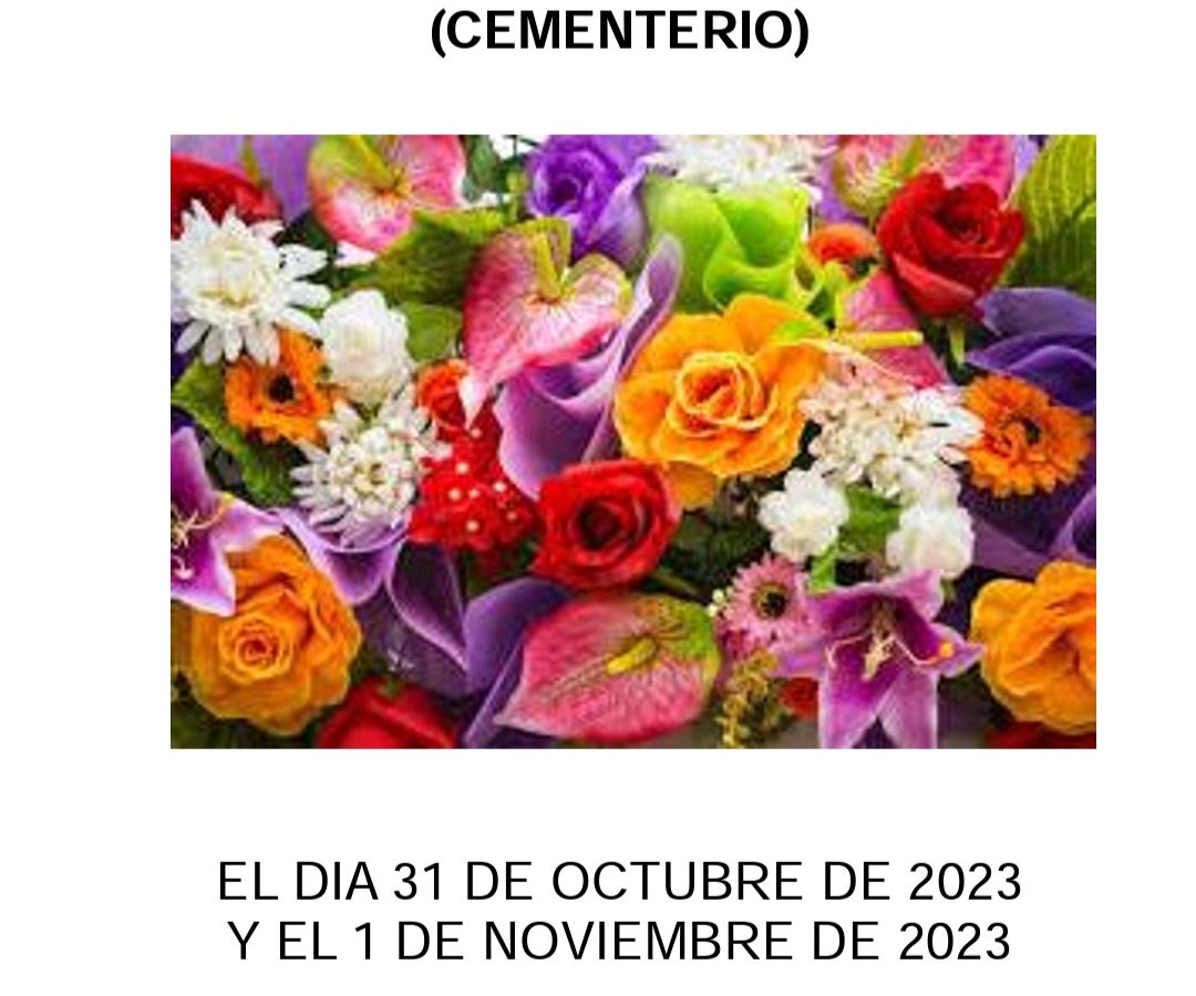 Venta de Flores por el Día de Todos los Santos y Día de los Difuntos.