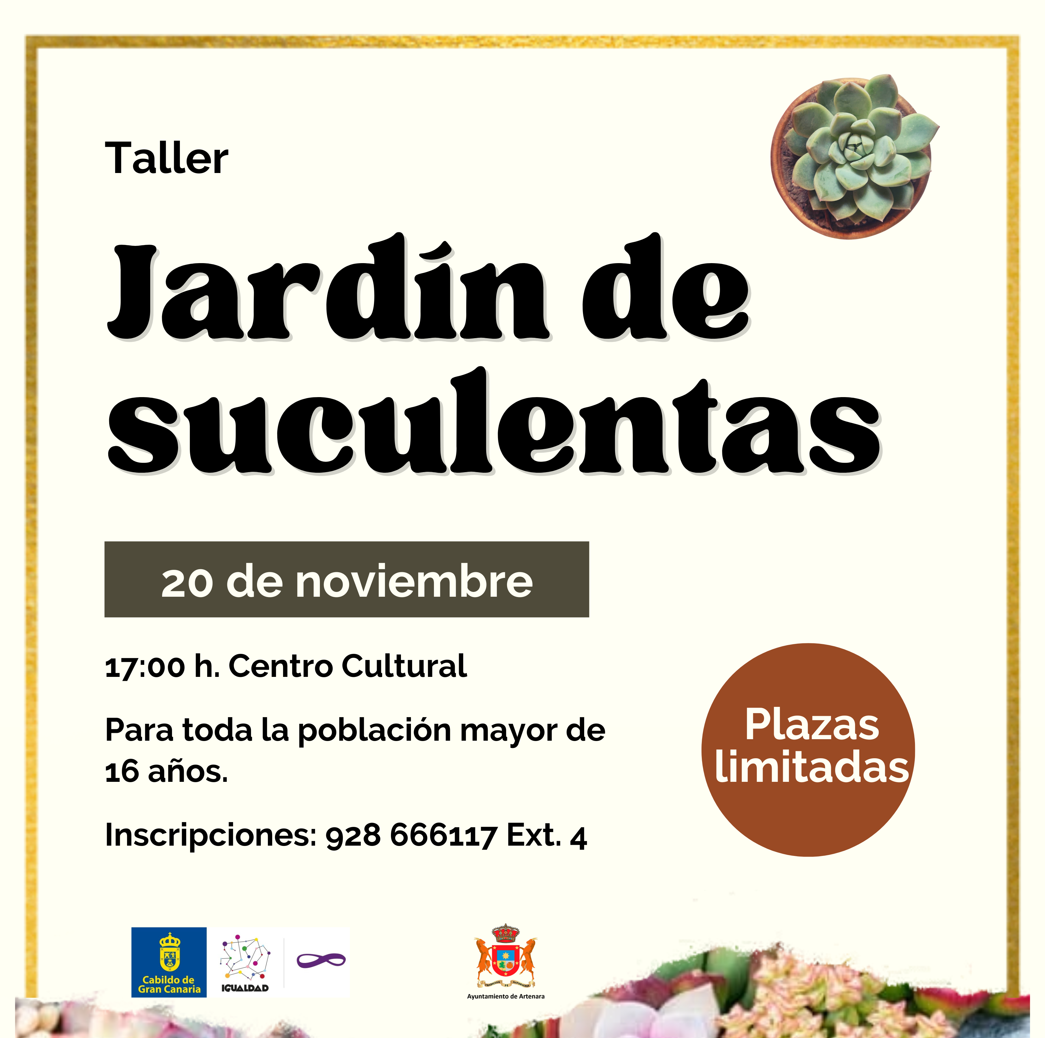 Taller "Jardín de Suculentas".