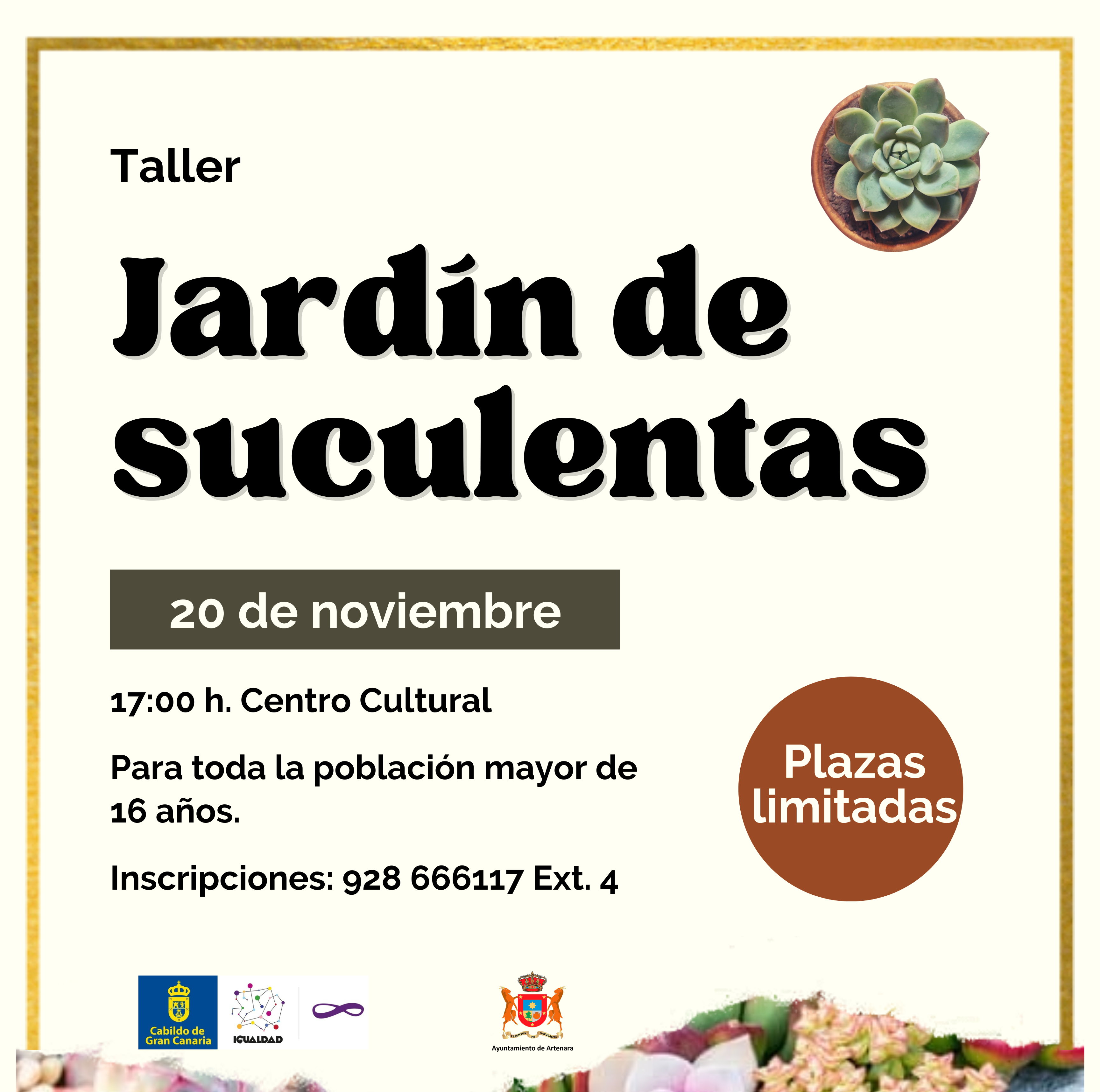 Taller: Jardín🌺de🌸Suculentas.