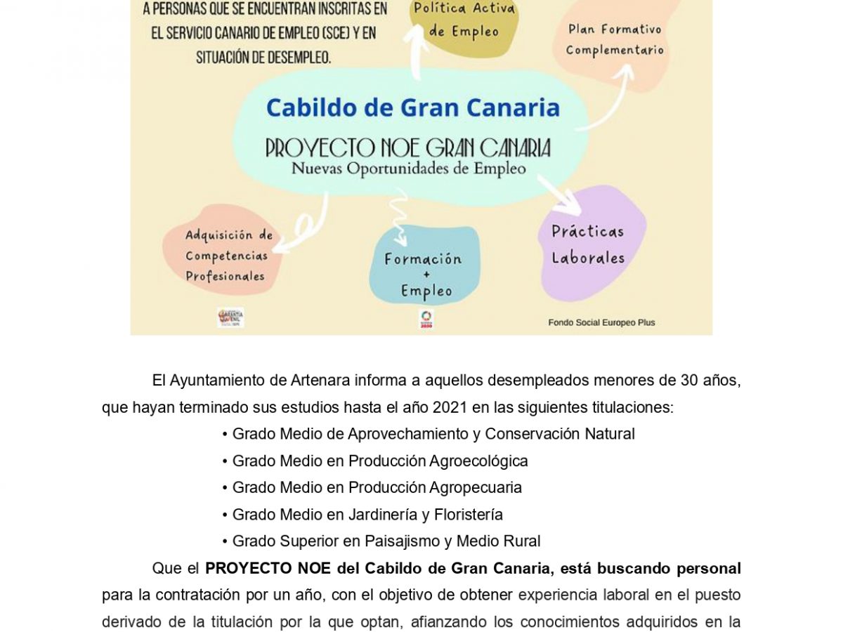 Contrataciones proyecto NOE