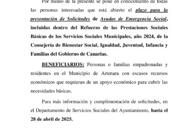 AYUDAS DE EMERGENCIA SOCIAL