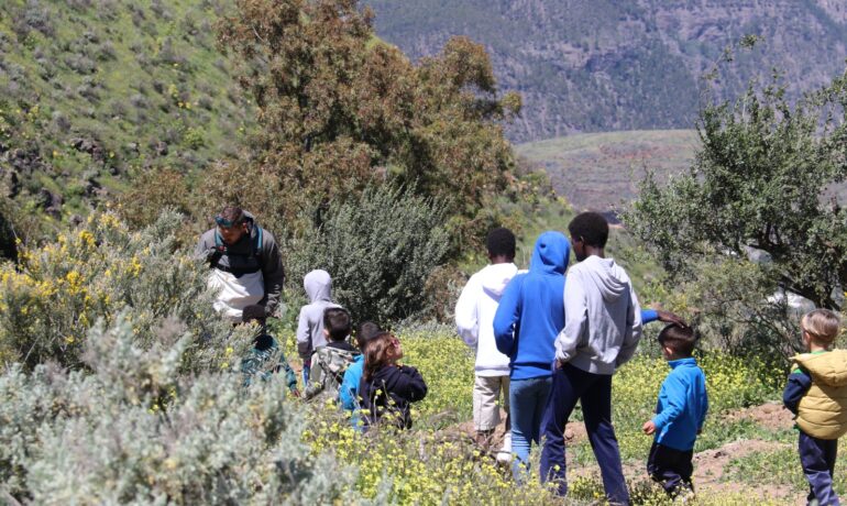 Plantación CEIP Artenara