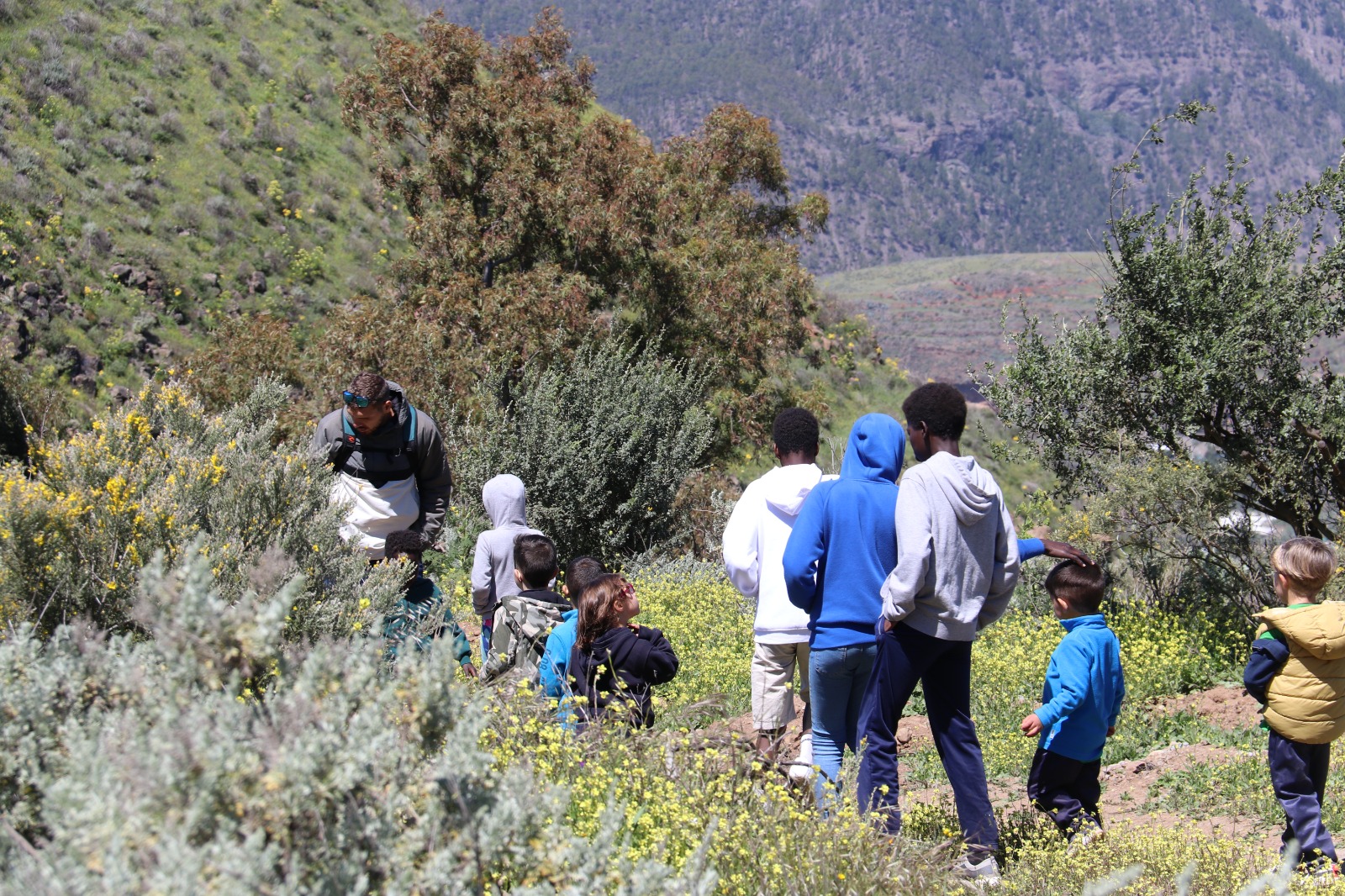 Plantación CEIP Artenara