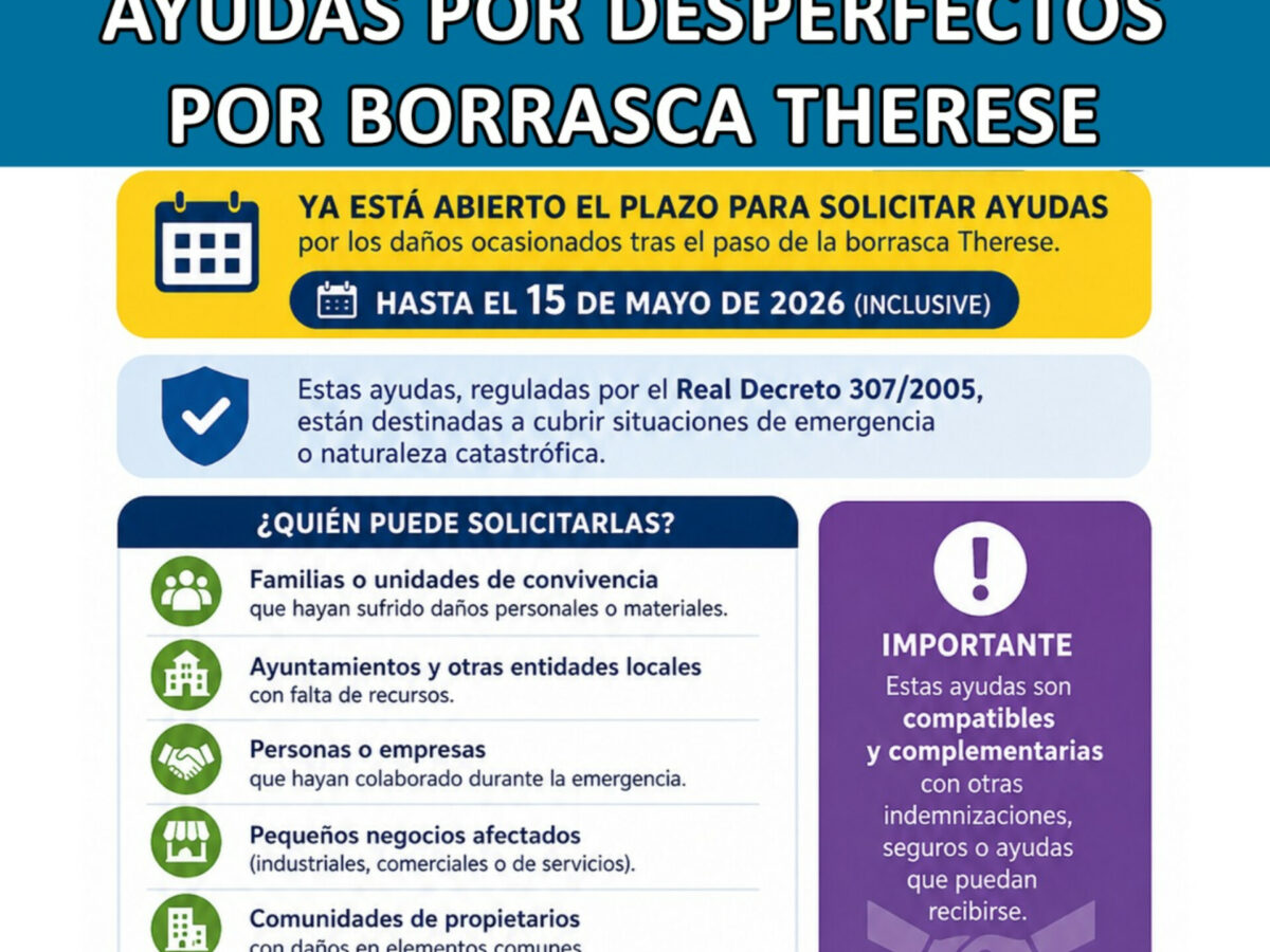 AYUDAS POR DESPERFECTOS OCASIONADOS POR LA BORRASCA THERESE
