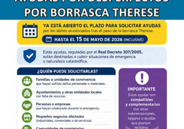 AYUDAS POR DESPERFECTOS OCASIONADOS POR LA BORRASCA THERESE