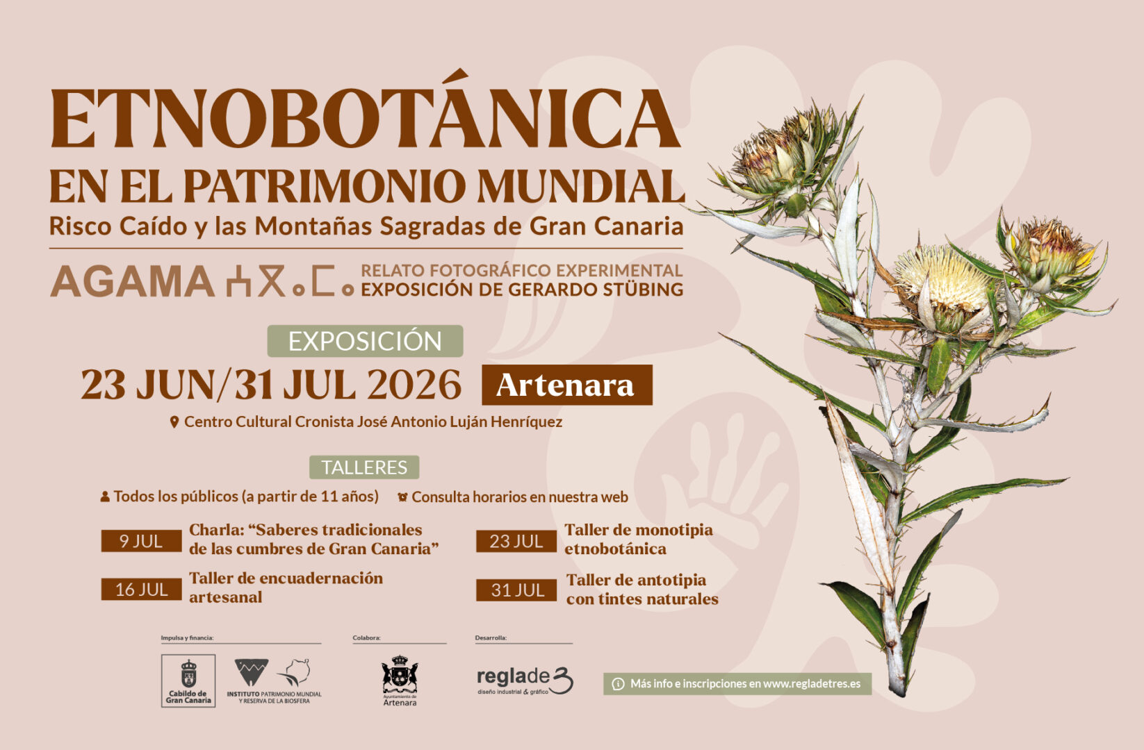 ETNOBOTÁNICA EN EL PATRIMONIO MUNDIAL, ARTENARA
