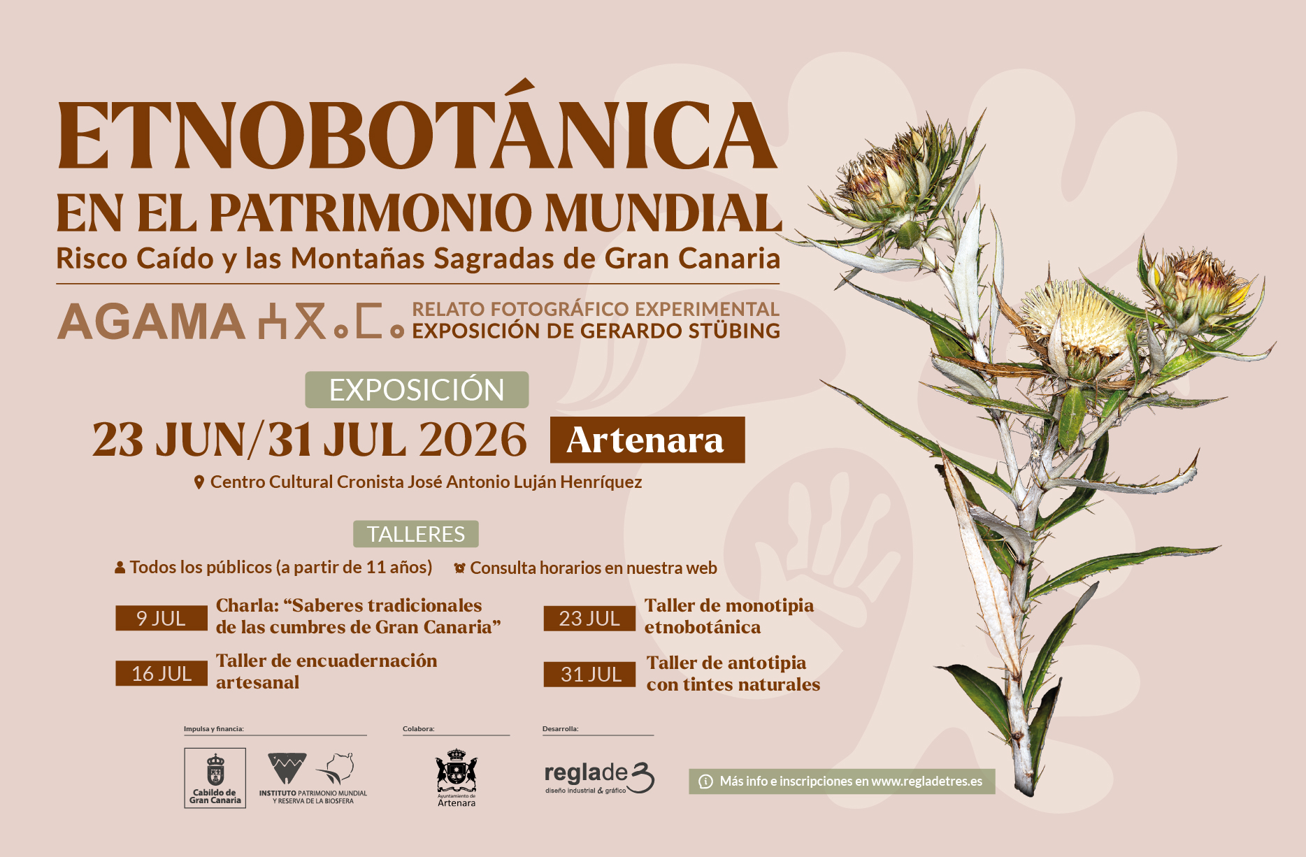ETNOBOTÁNICA EN EL PATRIMONIO MUNDIAL, ARTENARA